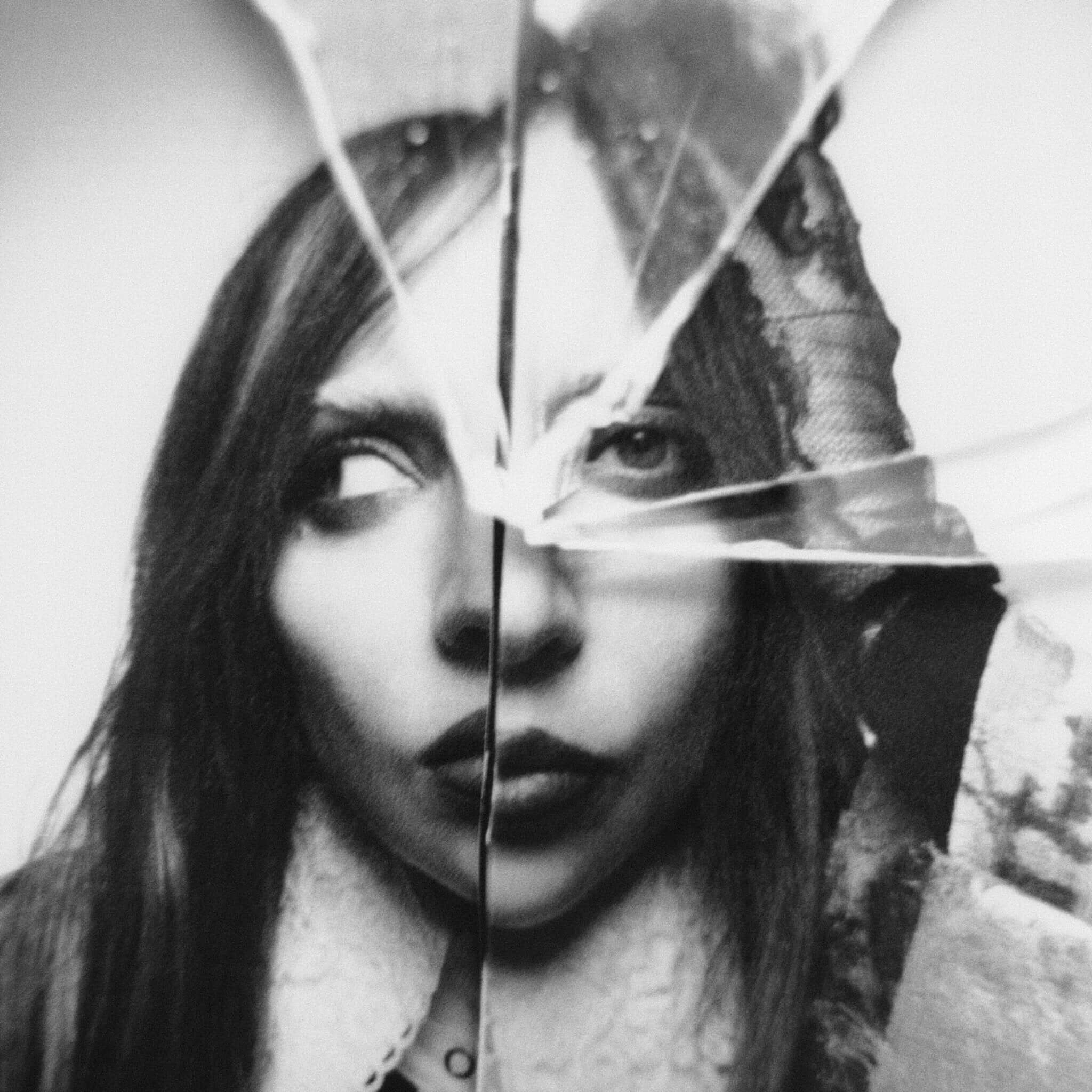 Translation missing: ca.Lady Gaga - Plastic Books: Lady Gaga
