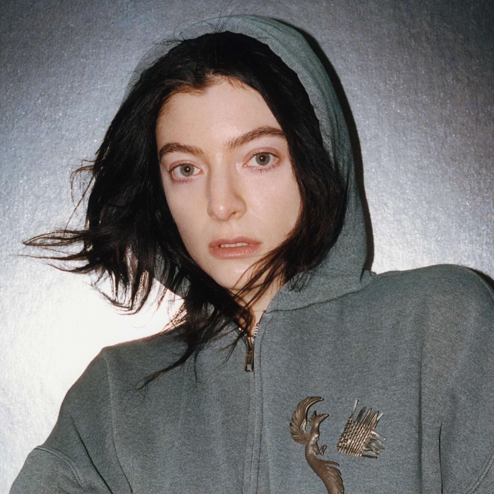 Translation missing: ca.Lorde - Plastic Books: Lorde