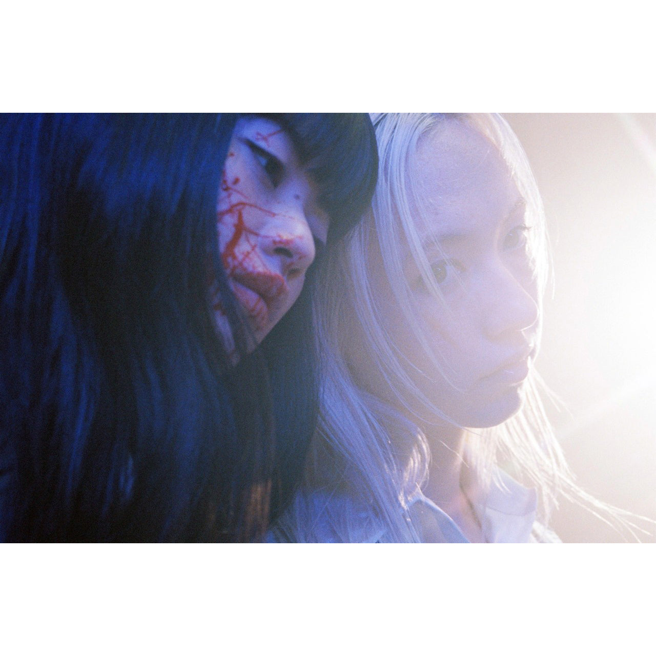 Petra Collins: STAR – Plastic Books