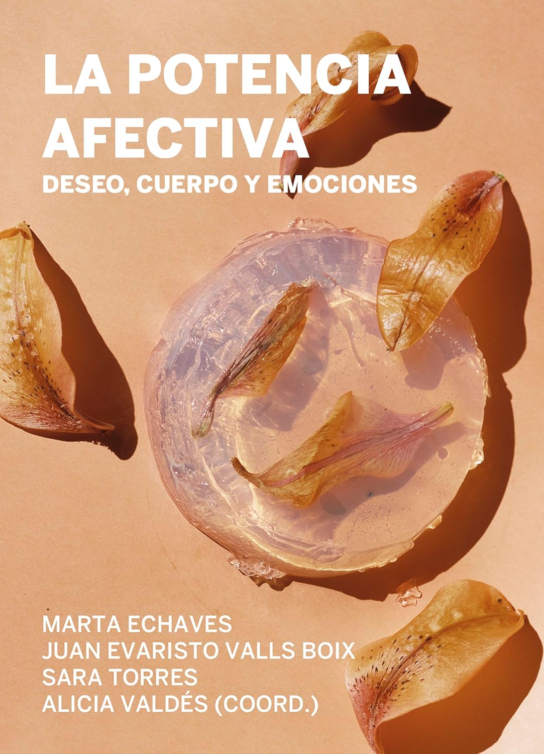 La potencia afectiva: Deseo, cuerpo y emociones