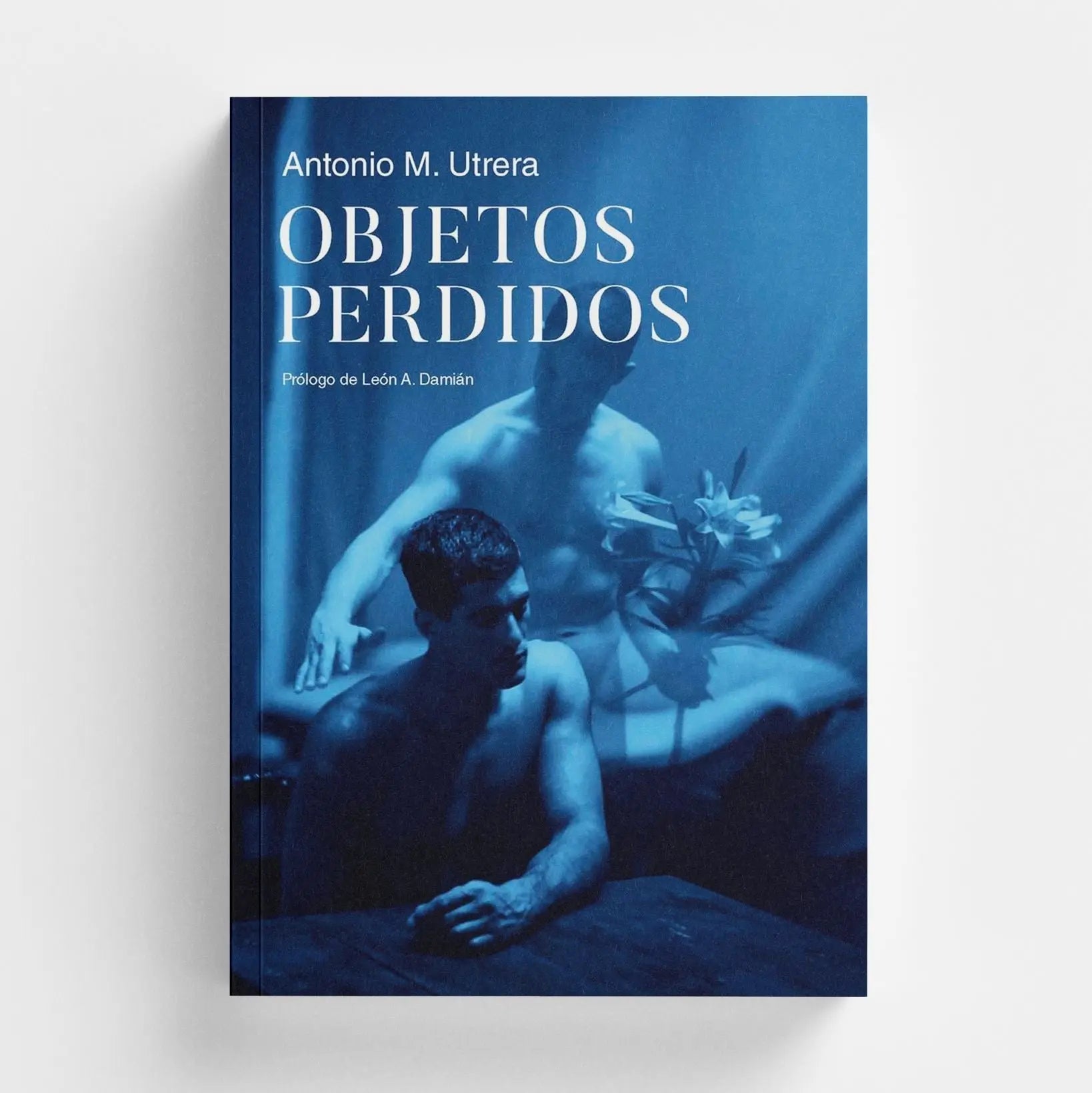 Objetos perdidos – Plastic Books